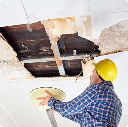 Ceiling Repair
