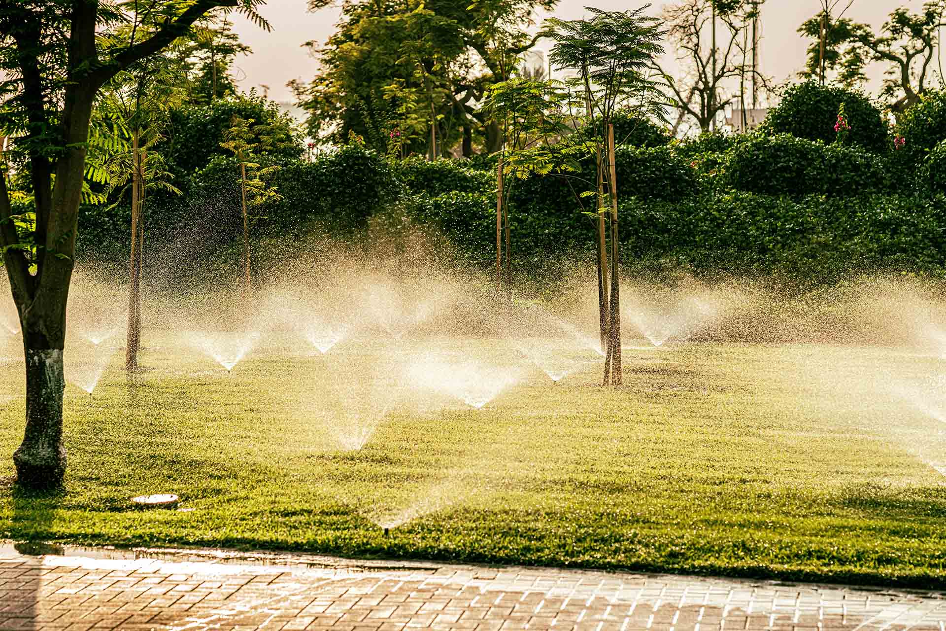 Irrigation Services